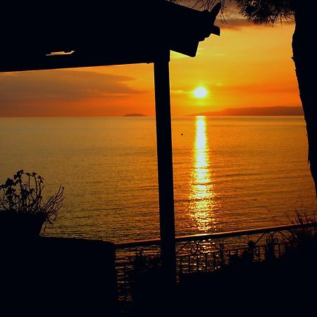 Sea And Sun Apartments 303 Ιδιωτικό Διαμέρισμα Kardhamili Ngoại thất bức ảnh